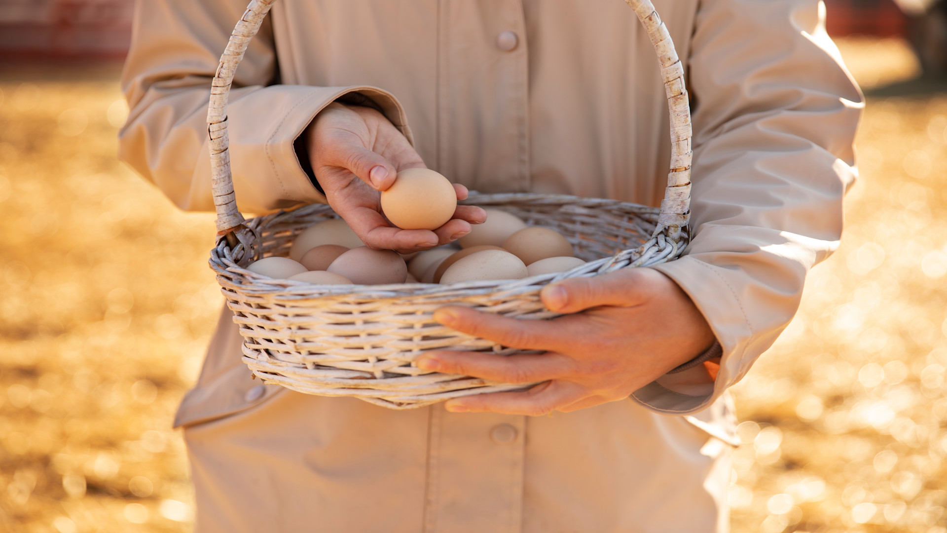 Farmer pictured holding a full basket off eggs